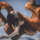 under_water_photography_christian_caballero
